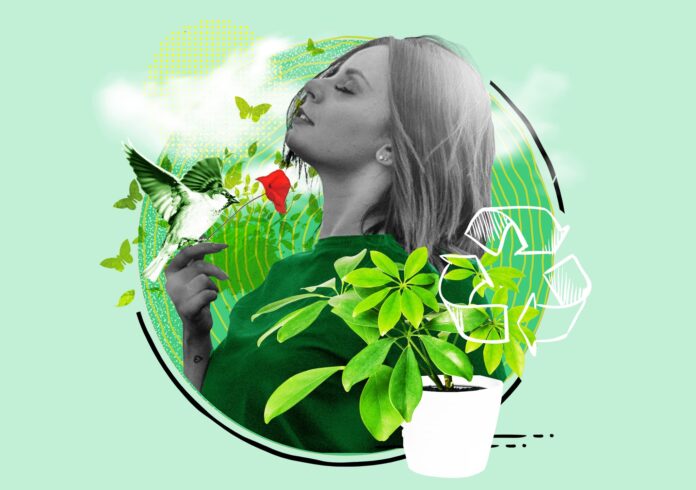 Environmental Wellness